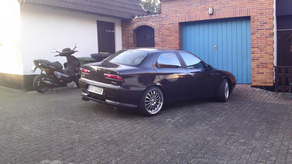 Meine Bellas