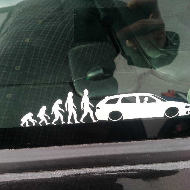 Evolution