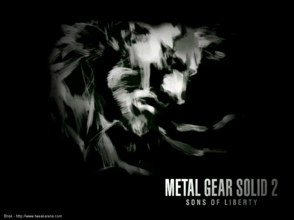 Only the Snake is the true Hero (Solid Snake)