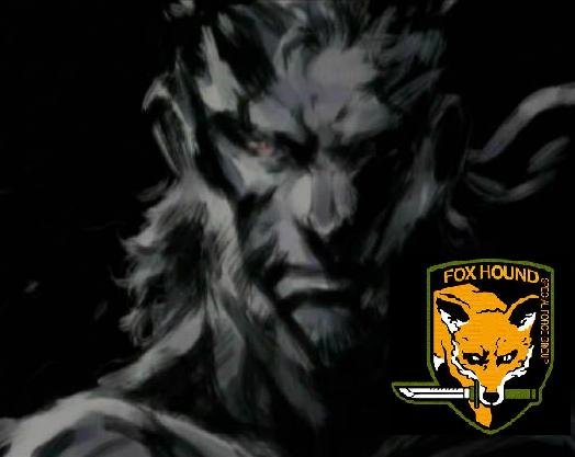 Only the Snake is the true Hero (Solid Snake)