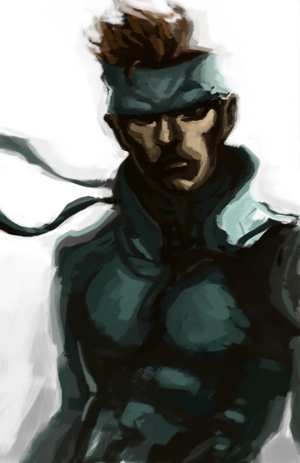 Only the Snake is the true Hero (Solid Snake)