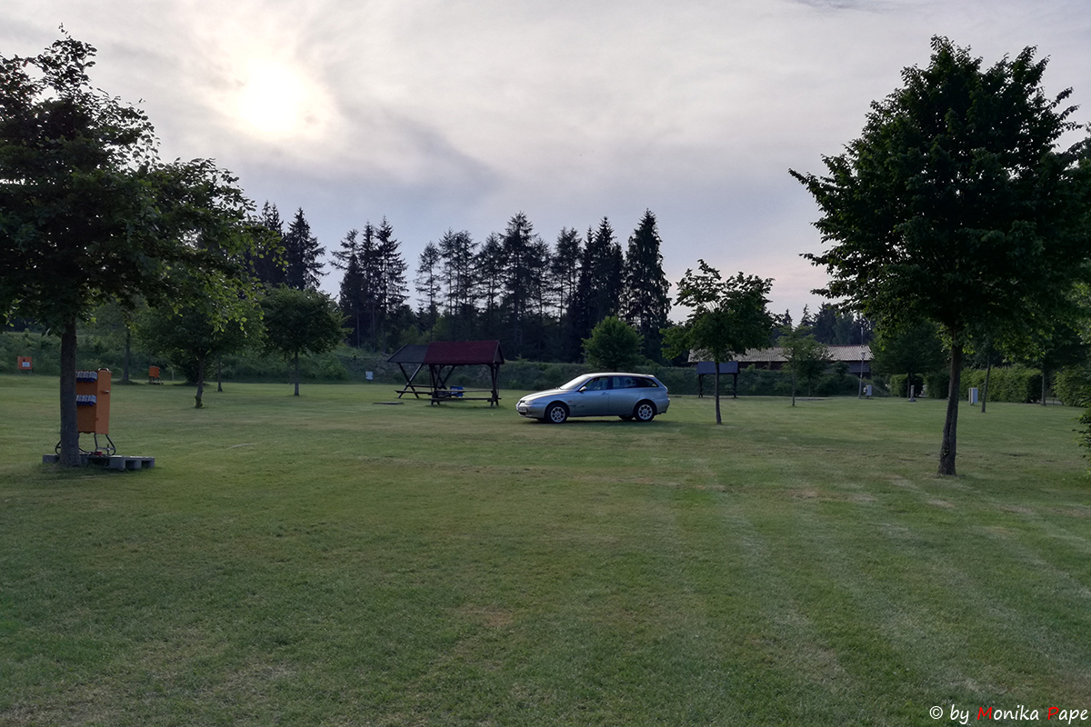 ARP Treffen am Birnbaumteich 2018