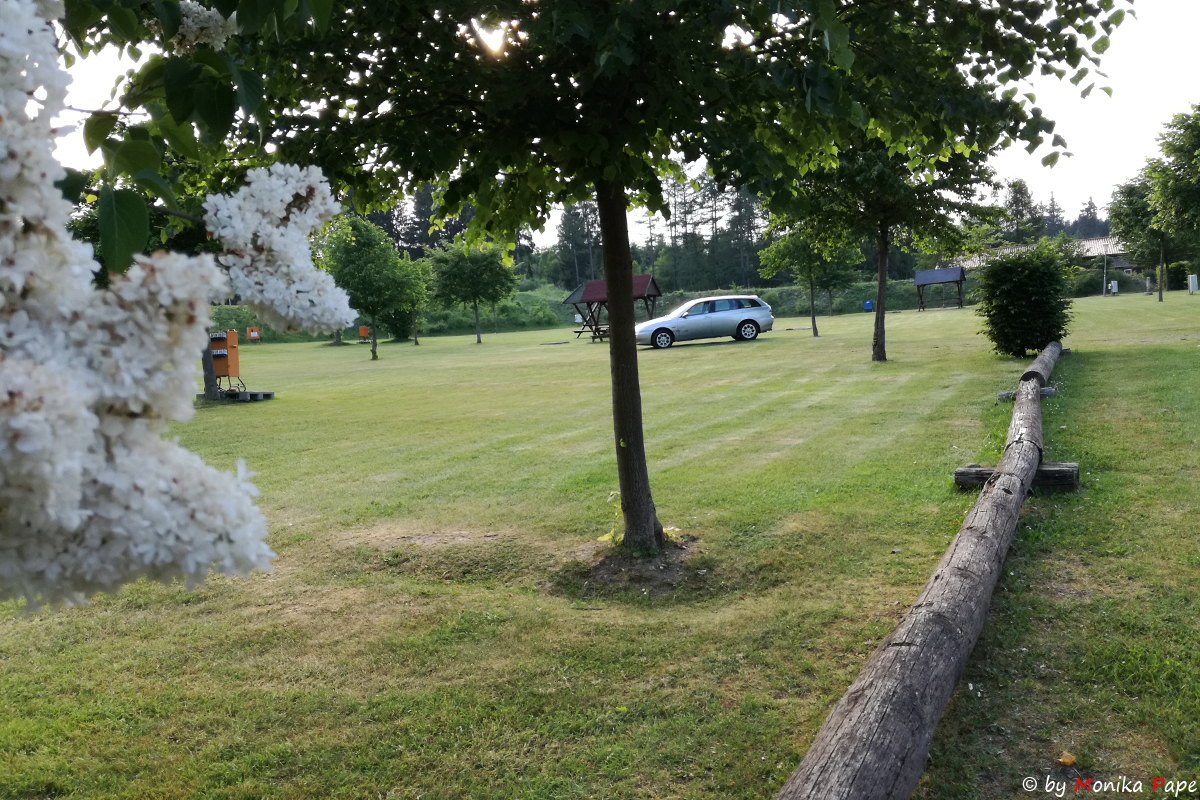 ARP Treffen am Birnbaumteich 2018