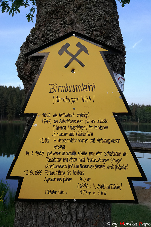 ARP Treffen am Birnbaumteich 2018