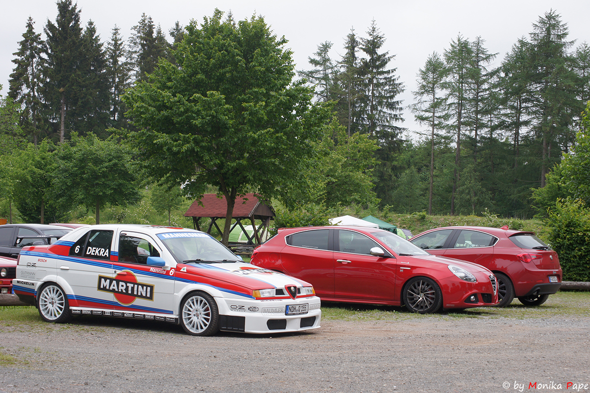 ARP Treffen am Birnbaumteich 2018