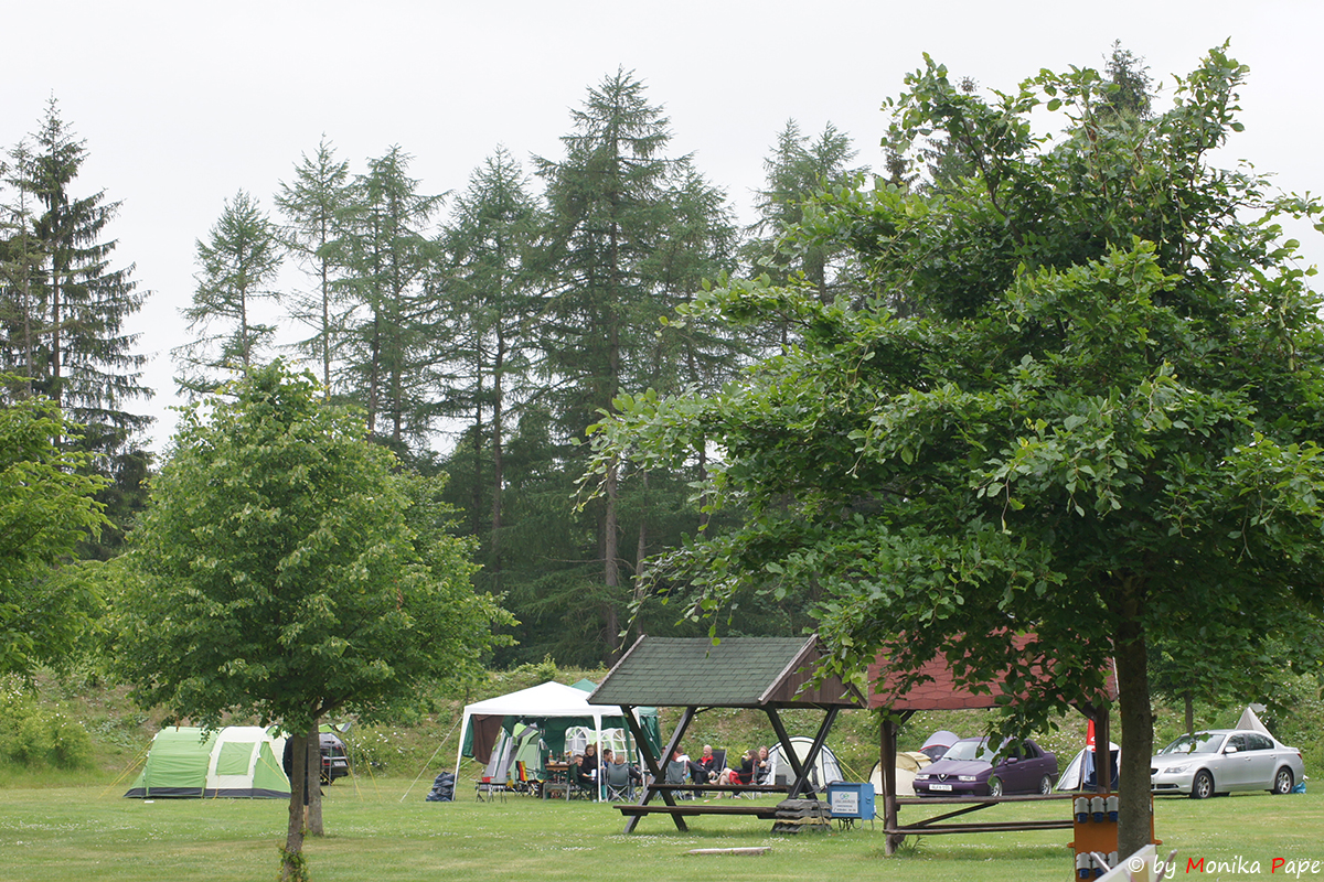 ARP Treffen am Birnbaumteich 2018