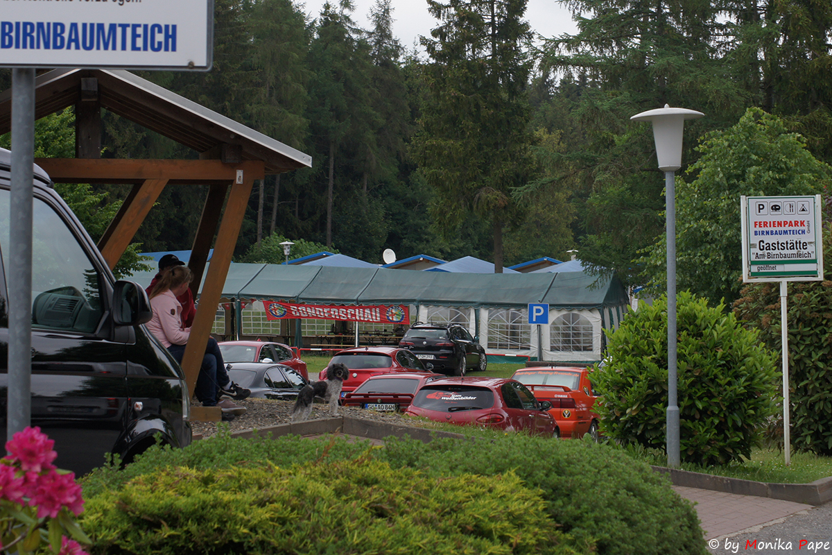 ARP Treffen am Birnbaumteich 2018