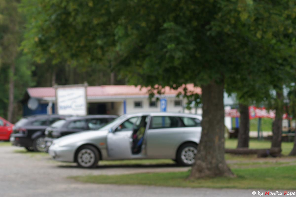 ARP Treffen am Birnbaumteich 2018