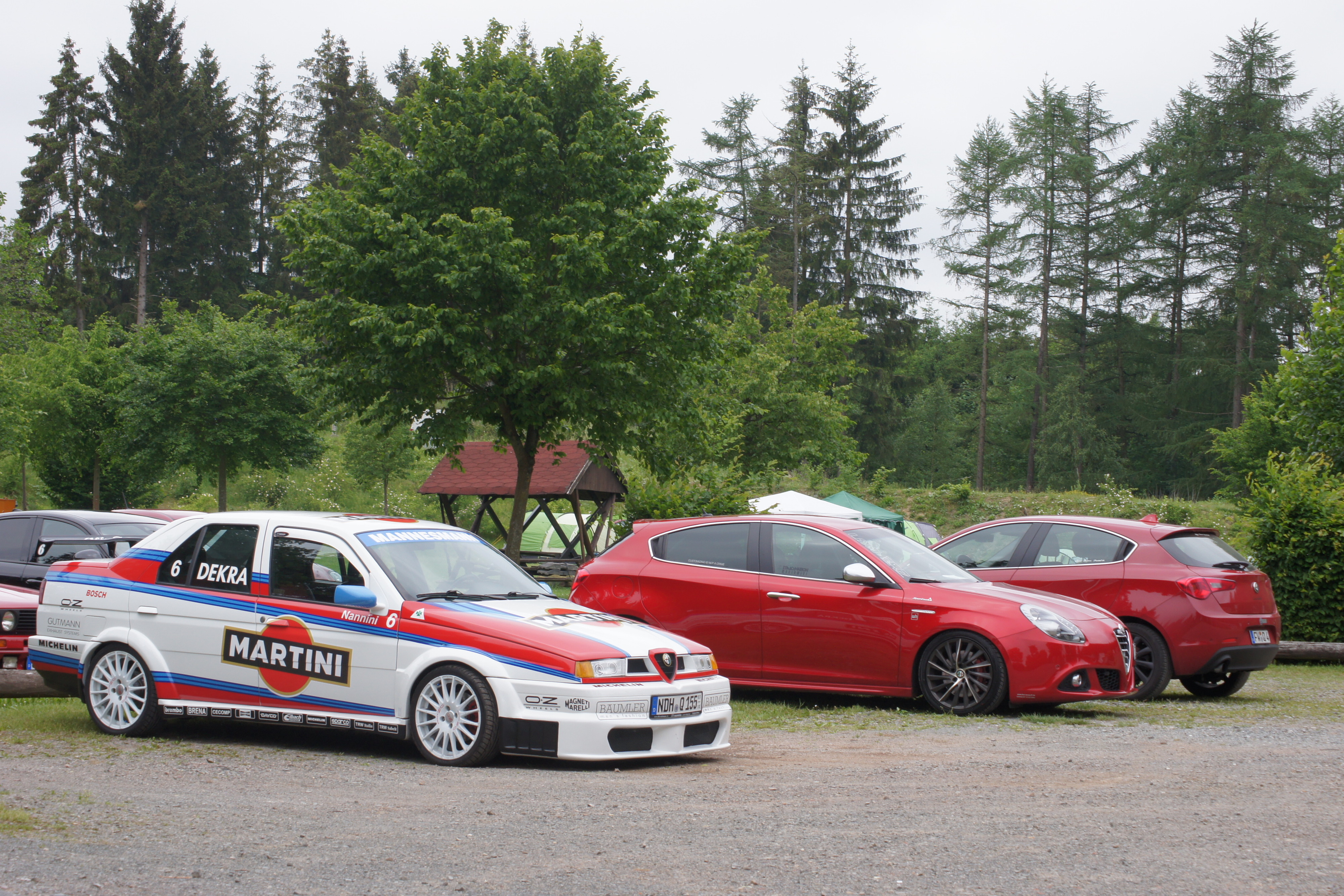 ARP Treffen am Birnbaumteich 2018