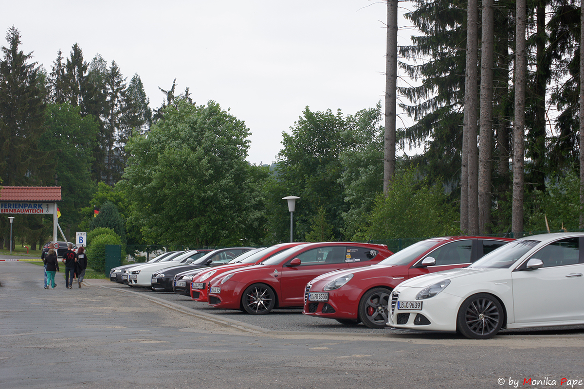 ARP Treffen am Birnbaumteich 2018