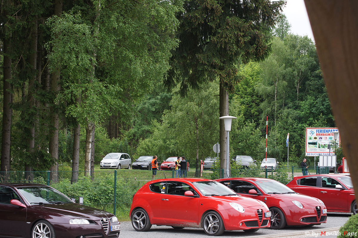 ARP Treffen am Birnbaumteich 2018