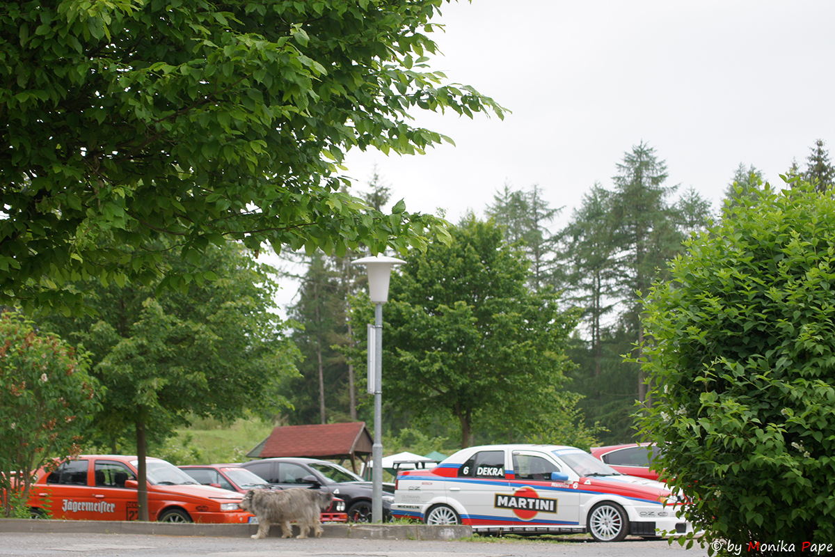 ARP Treffen am Birnbaumteich 2018