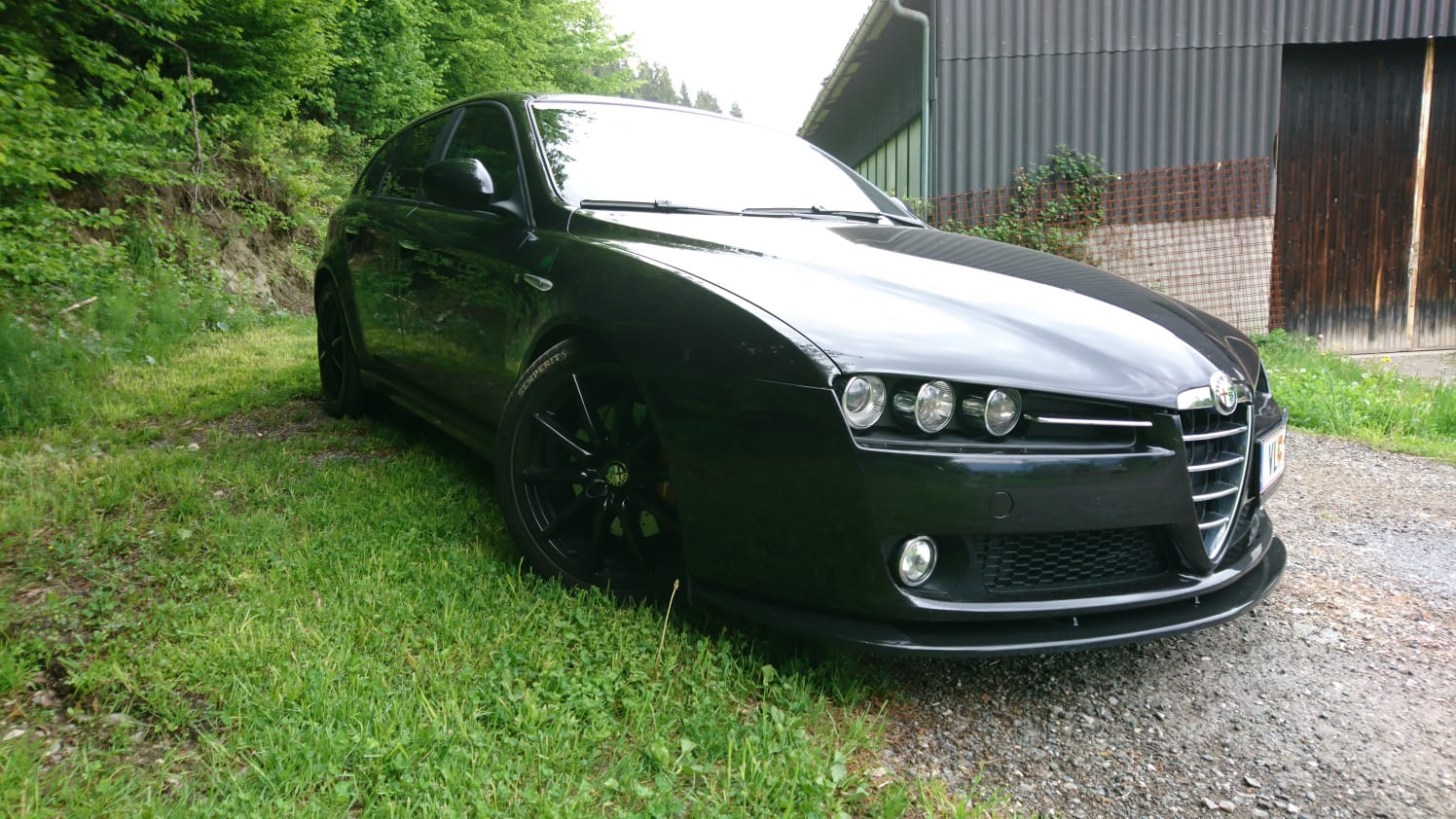 Meine Black Bella