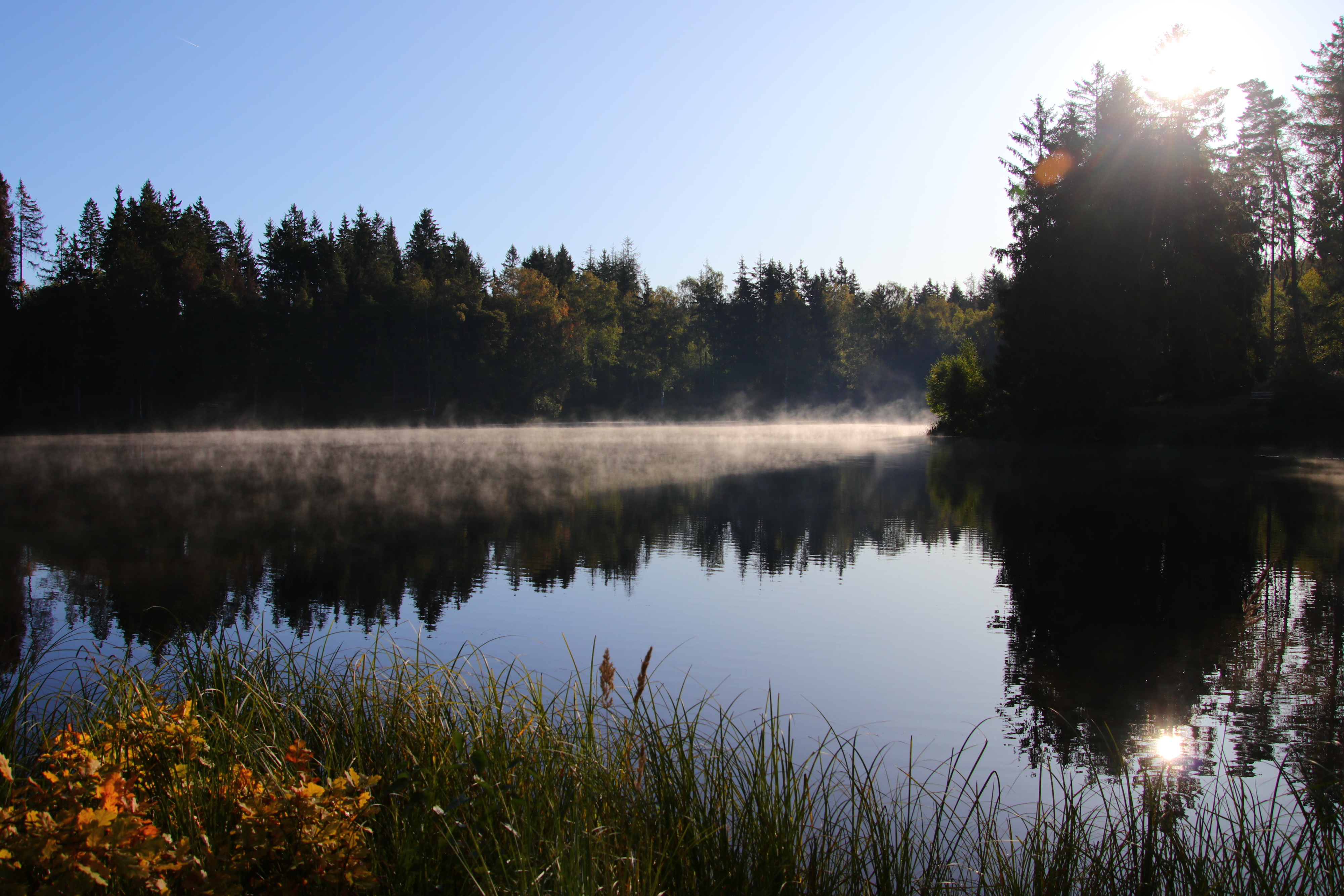 Morgentlicher Nebel über dem Birnbaumteich