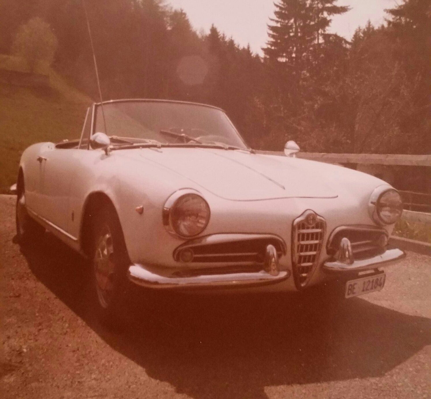 Meine Alfas