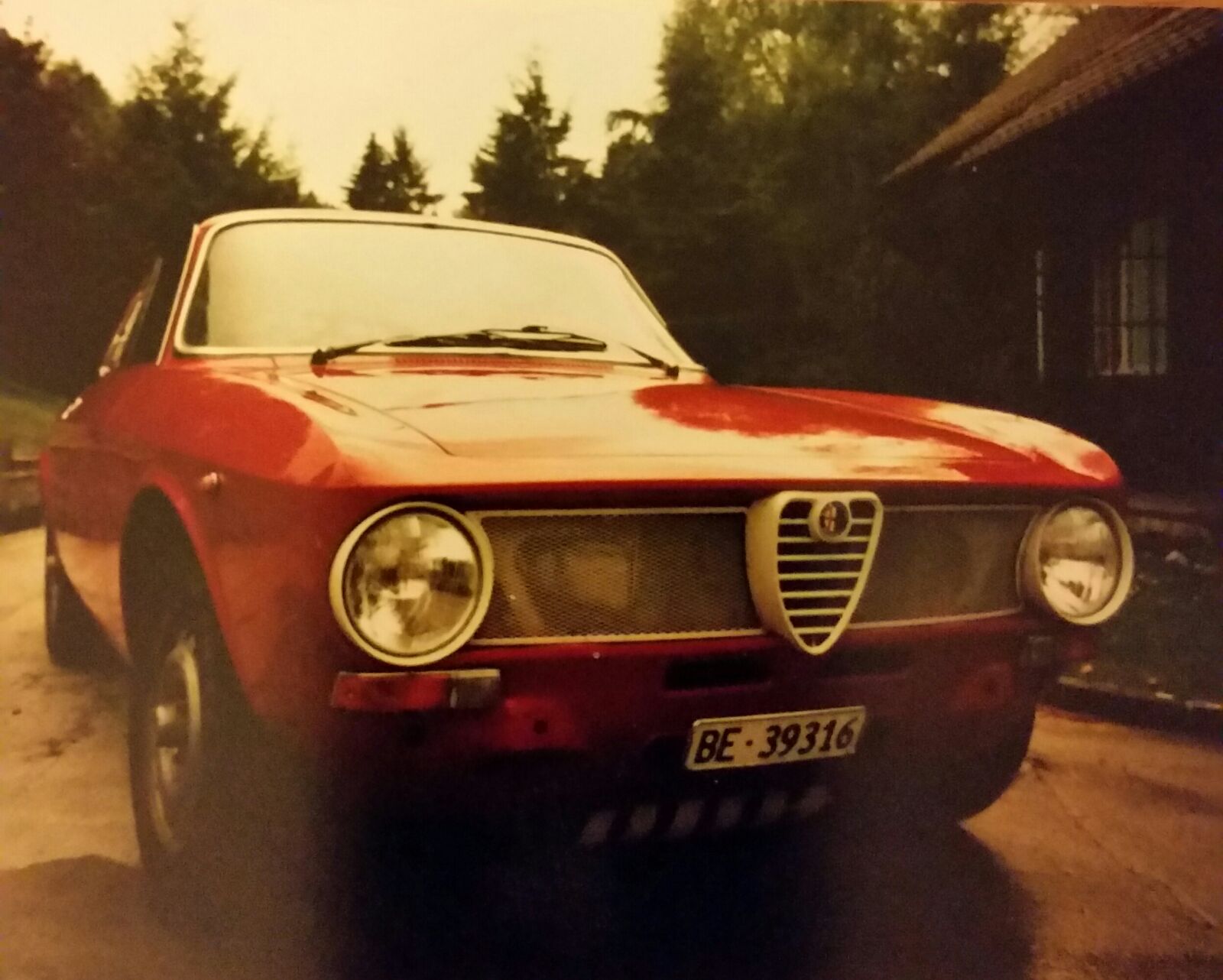 Meine Alfas