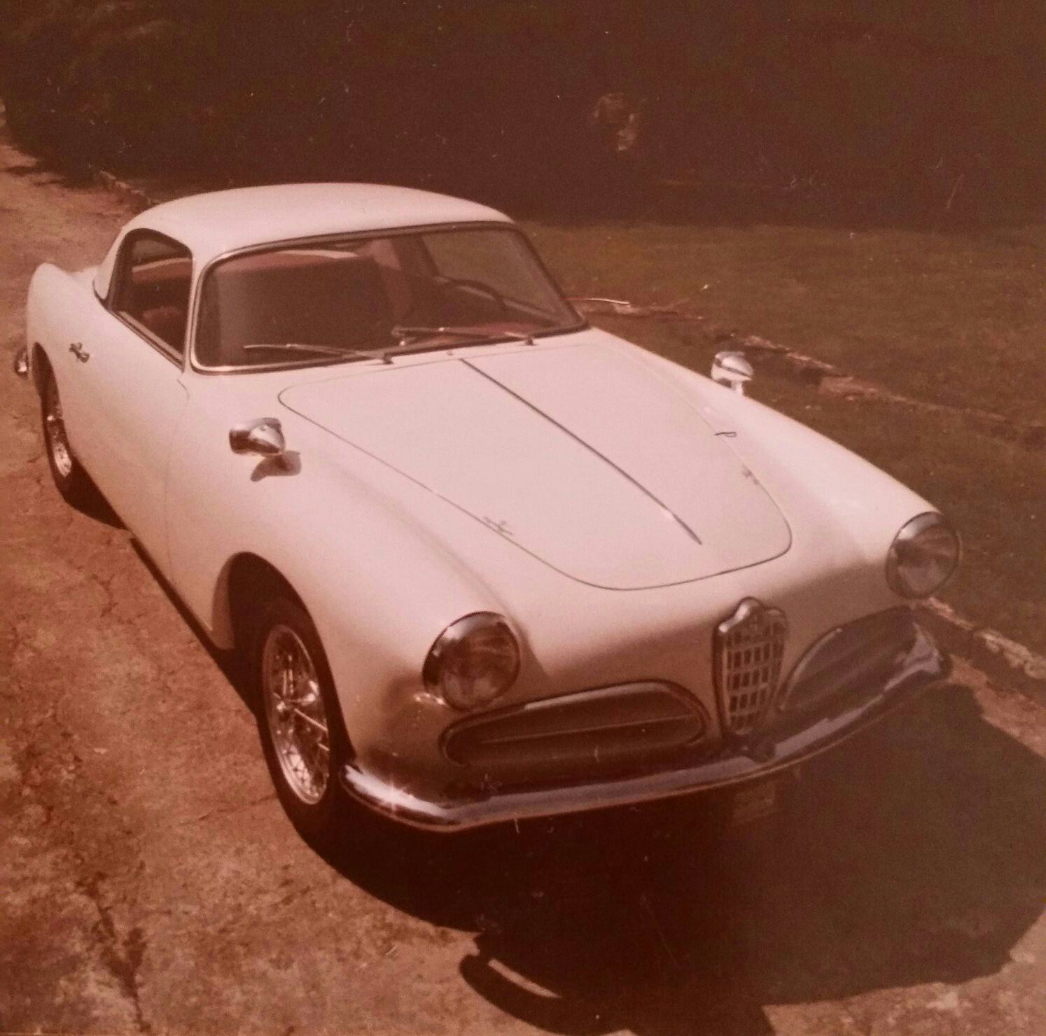 Meine Alfas
