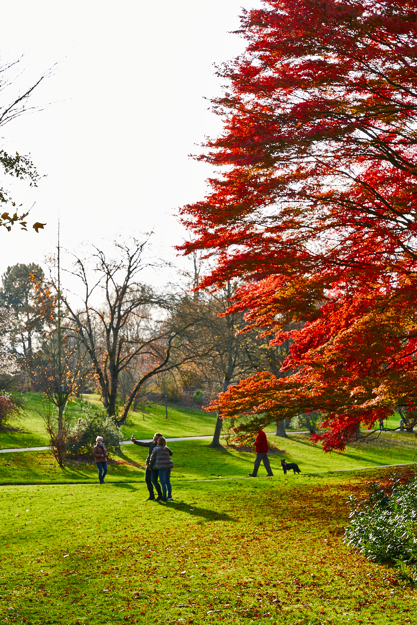 Herbst10