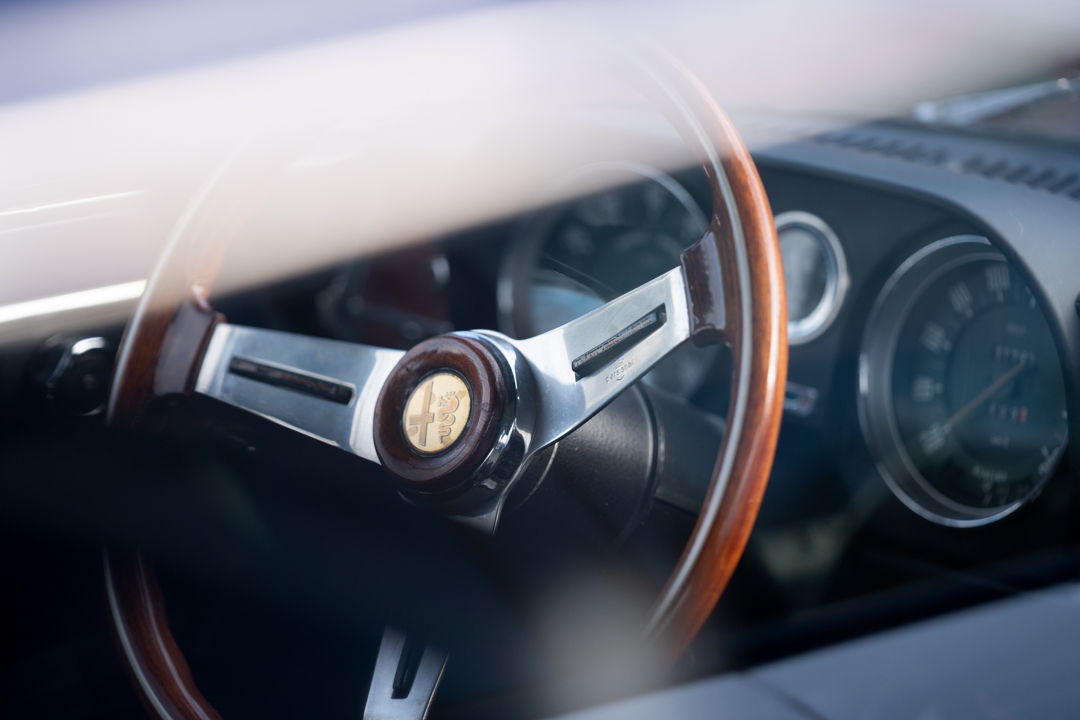 Alfa Treffen mit der Family Sachsen
