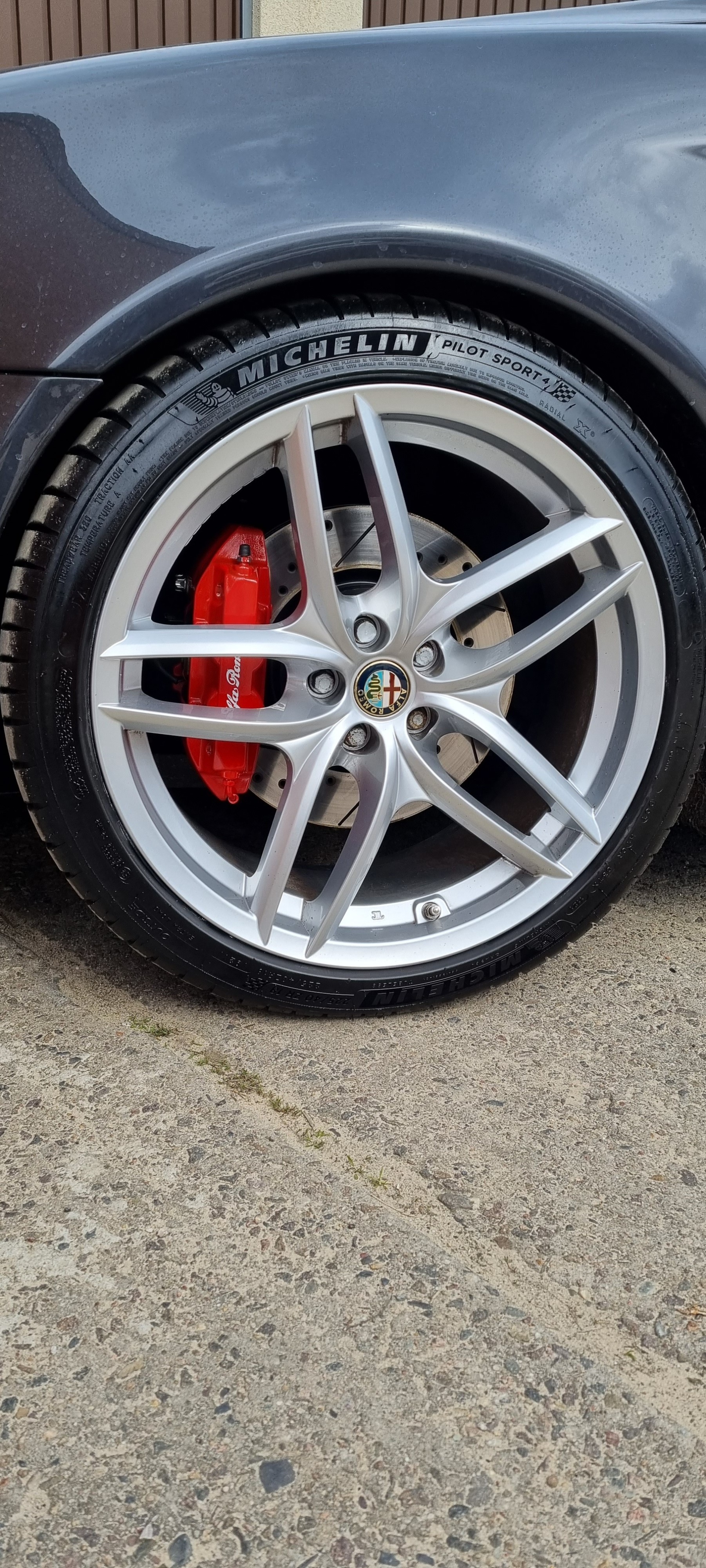 Brembo 305