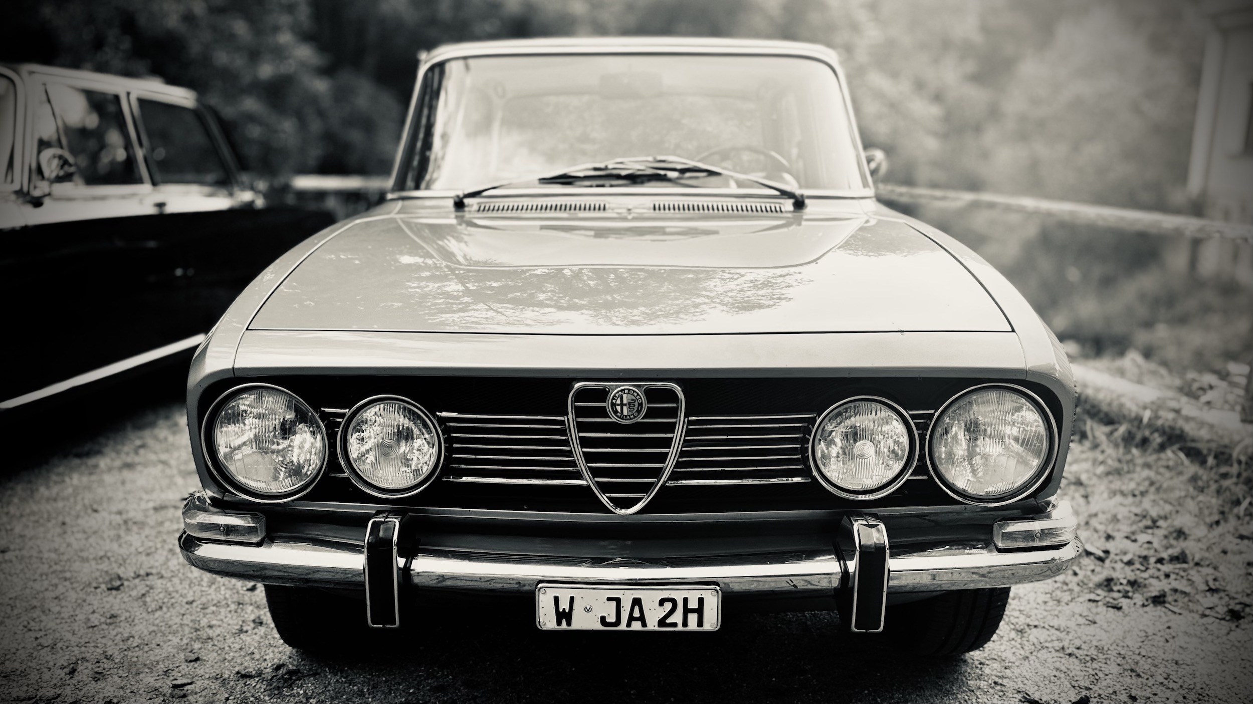 Alfa Classic Club Herbstausfahrt 2025