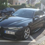 Eibach Pro-Kit+10mm Spurplatten SCC+Classico 19