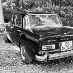 Alfa Classic Club Herbstausfahrt 2025