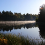 Morgentlicher Nebel über dem Birnbaumteich