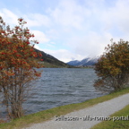 Haidersee